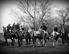 Cabalgata