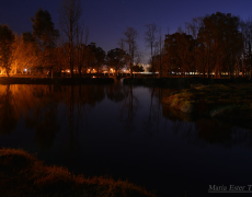 Parque