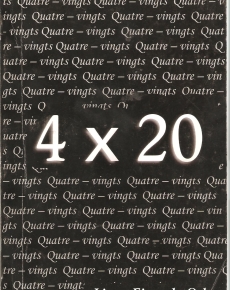 4 x 20