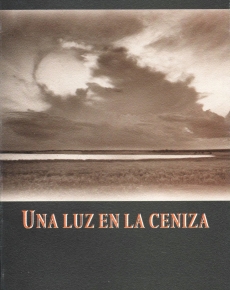 Una luz en la ceniza